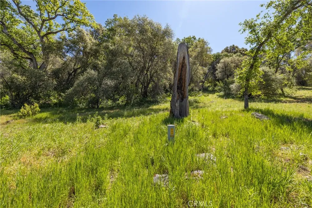 3703 Sherrod Mariposa, CA 95338