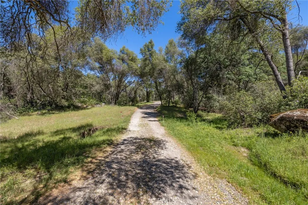 3703 Sherrod Mariposa, CA 95338
