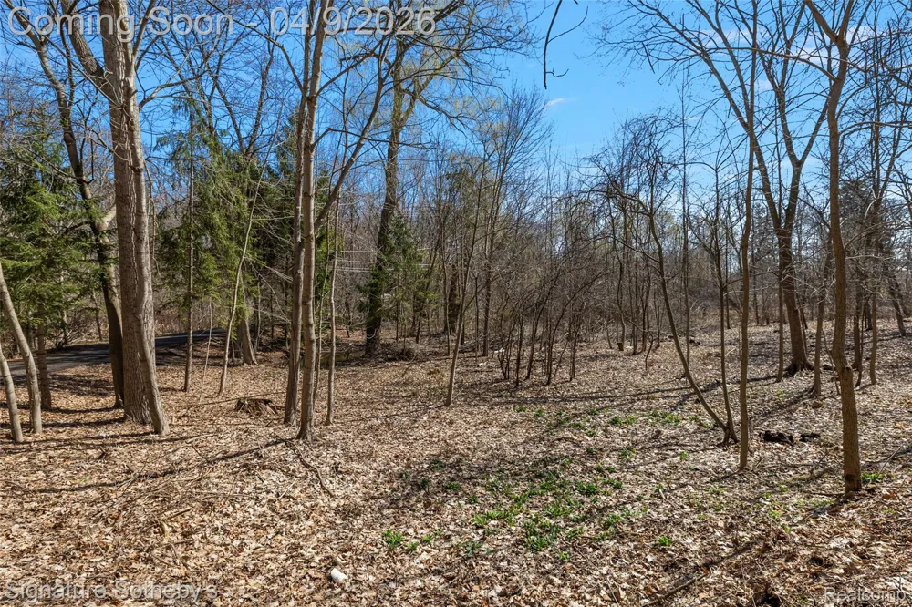 4650 Lahser Road Bloomfield Hills City, MI 48302
