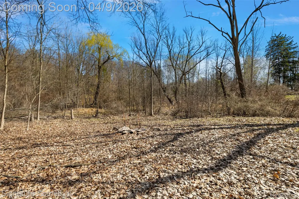4650 Lahser Road Bloomfield Hills City, MI 48302