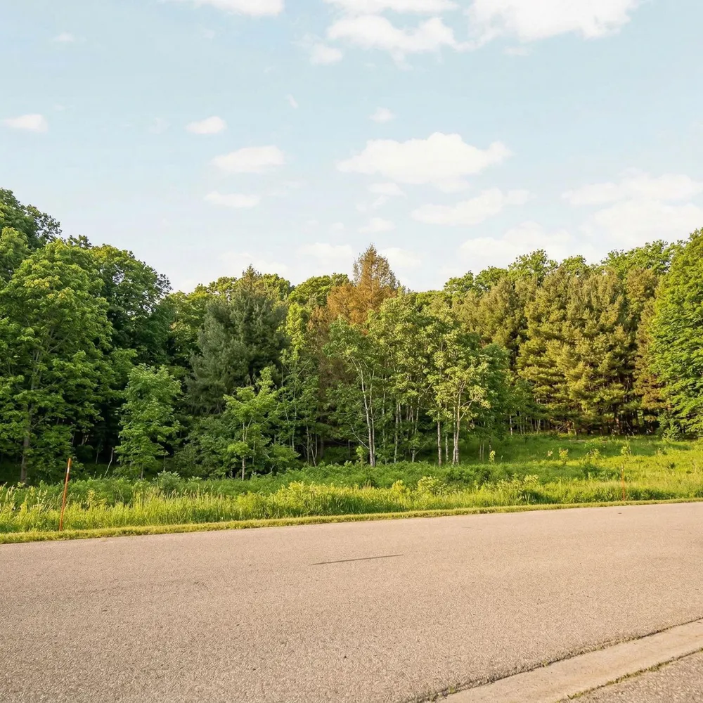 Old Morgan Trail Traverse City City, MI 49684