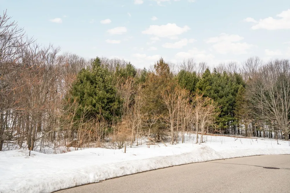 Old Morgan Trail Traverse City City, MI 49684