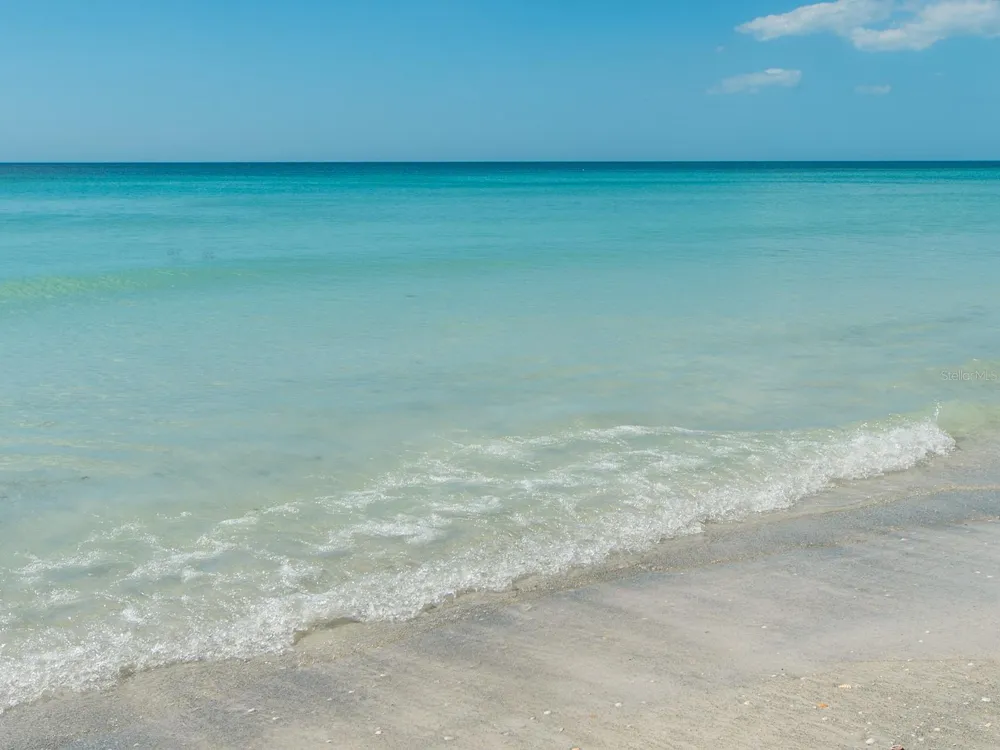 2406 GULF BOULEVARD #204 Indian Rocks Beach, FL 33785