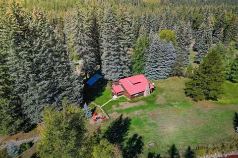 48 W Vallecito Creek Road