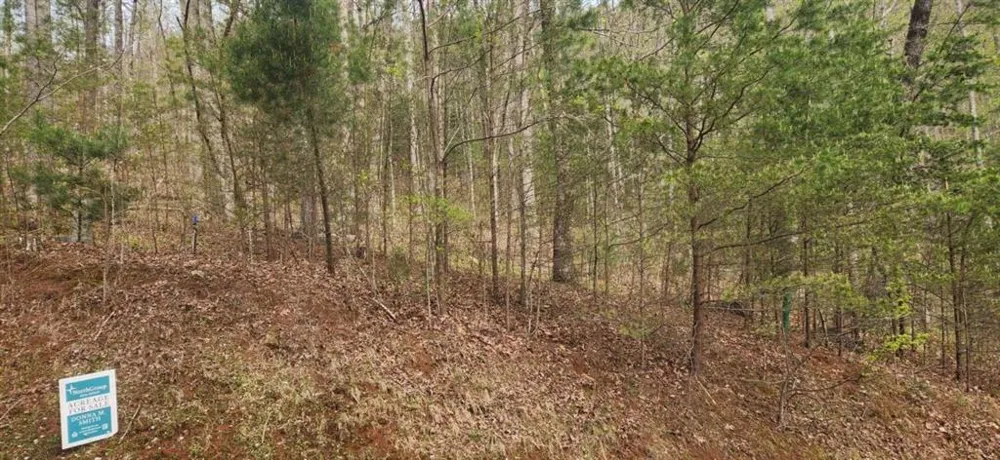 0 Yellow Trillium (Lot 13) Clayton, GA 30525