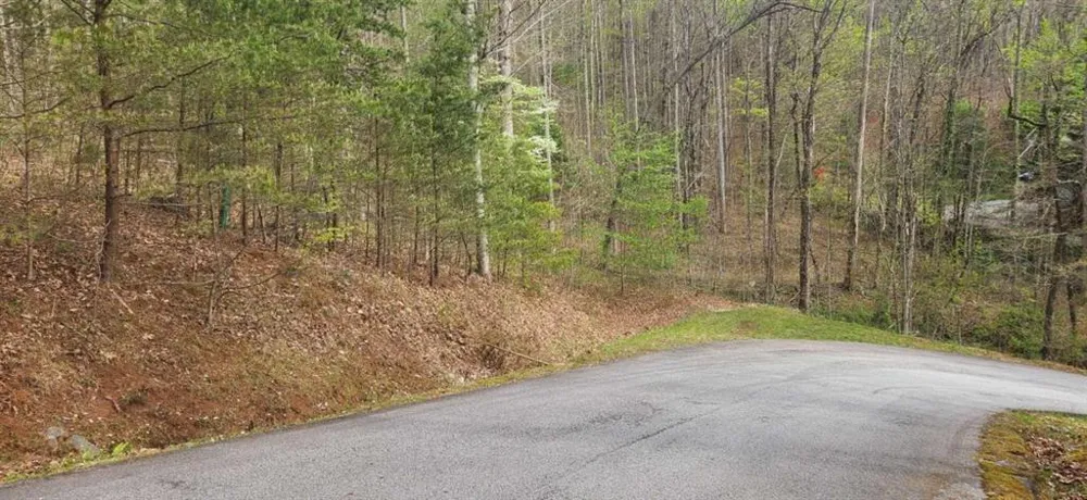 0 Yellow Trillium (Lot 13) Clayton, GA 30525