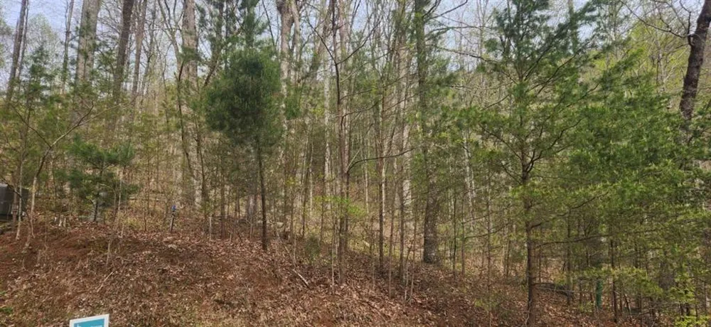 0 Yellow Trillium (Lot 13) Clayton, GA 30525