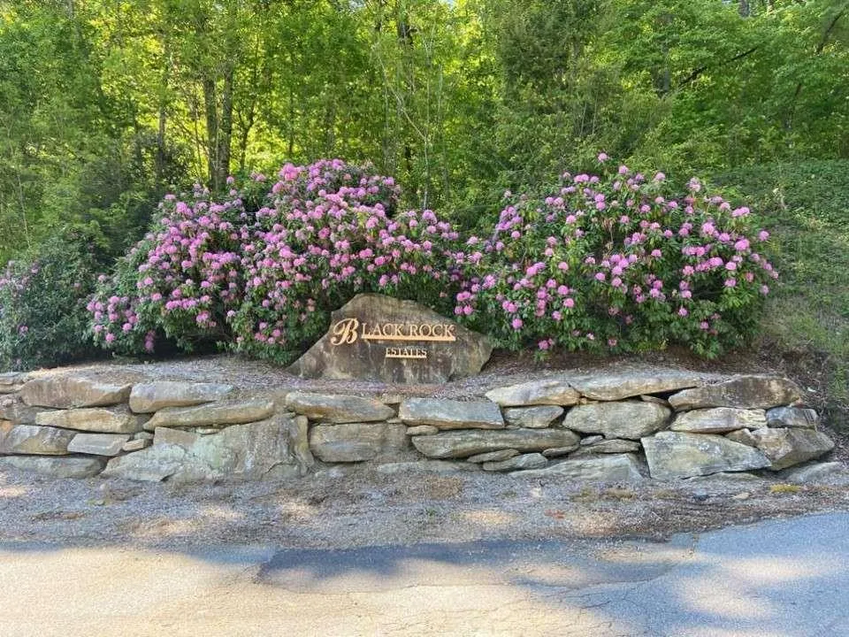 0 Yellow Trillium (Lot 13) Clayton, GA 30525