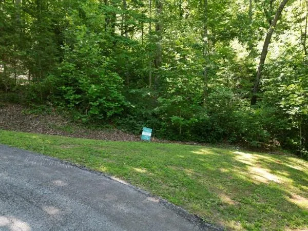0 Yellow Trillium (Lot 13) Clayton, GA 30525