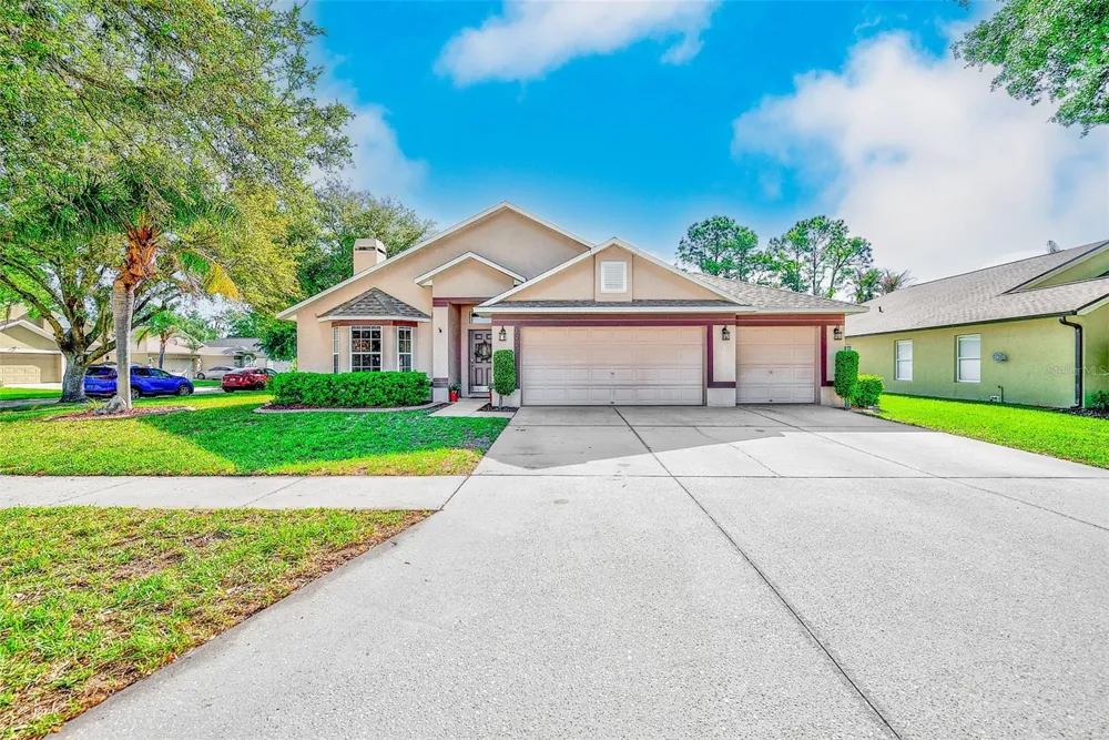 2927 HICKORY GROVE DRIVE Valrico, FL 33596