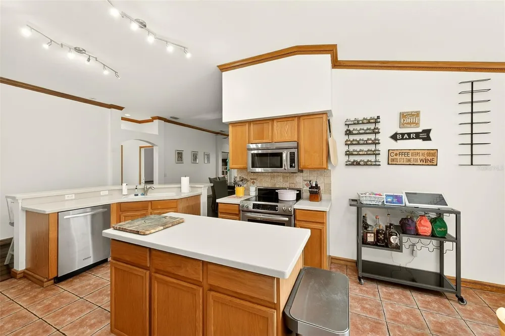2927 HICKORY GROVE DRIVE Valrico, FL 33596