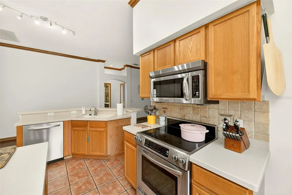 2927 HICKORY GROVE DRIVE Valrico, FL 33596