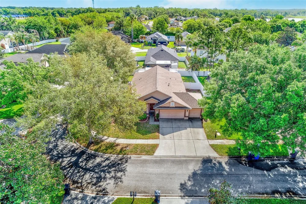 2927 HICKORY GROVE DRIVE Valrico, FL 33596