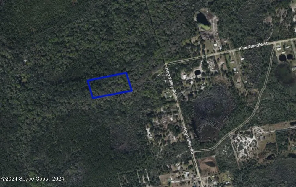 Pine Needle Street Mims, FL 32754