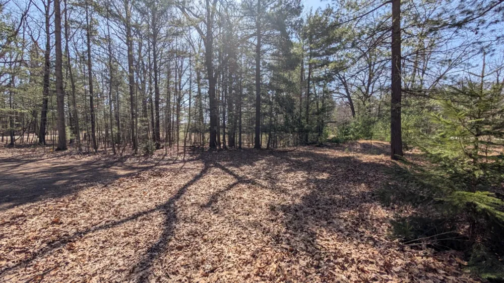 5764 W Bryant Road Ludington, MI 49431