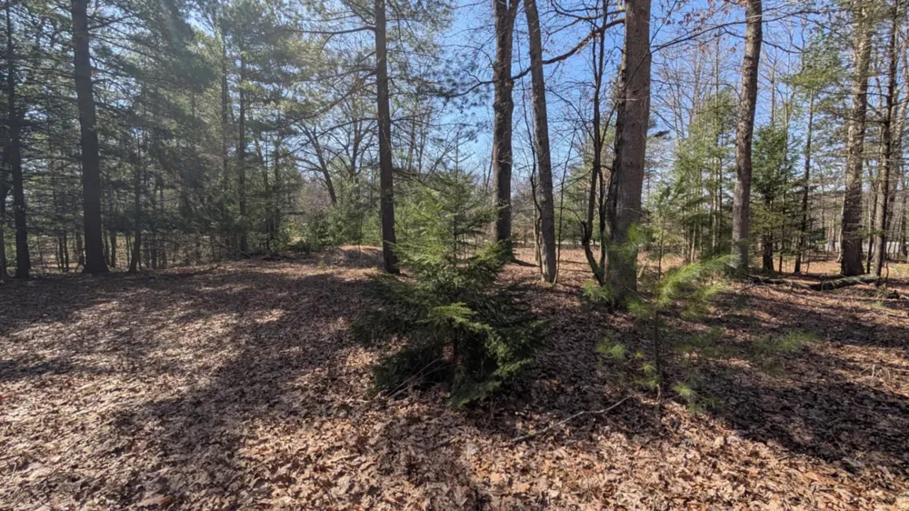 5764 W Bryant Road Ludington, MI 49431