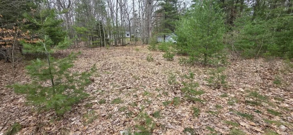 5764 W Bryant Road Ludington, MI 49431