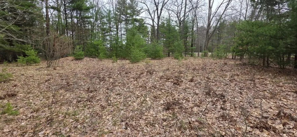 5764 W Bryant Road Ludington, MI 49431