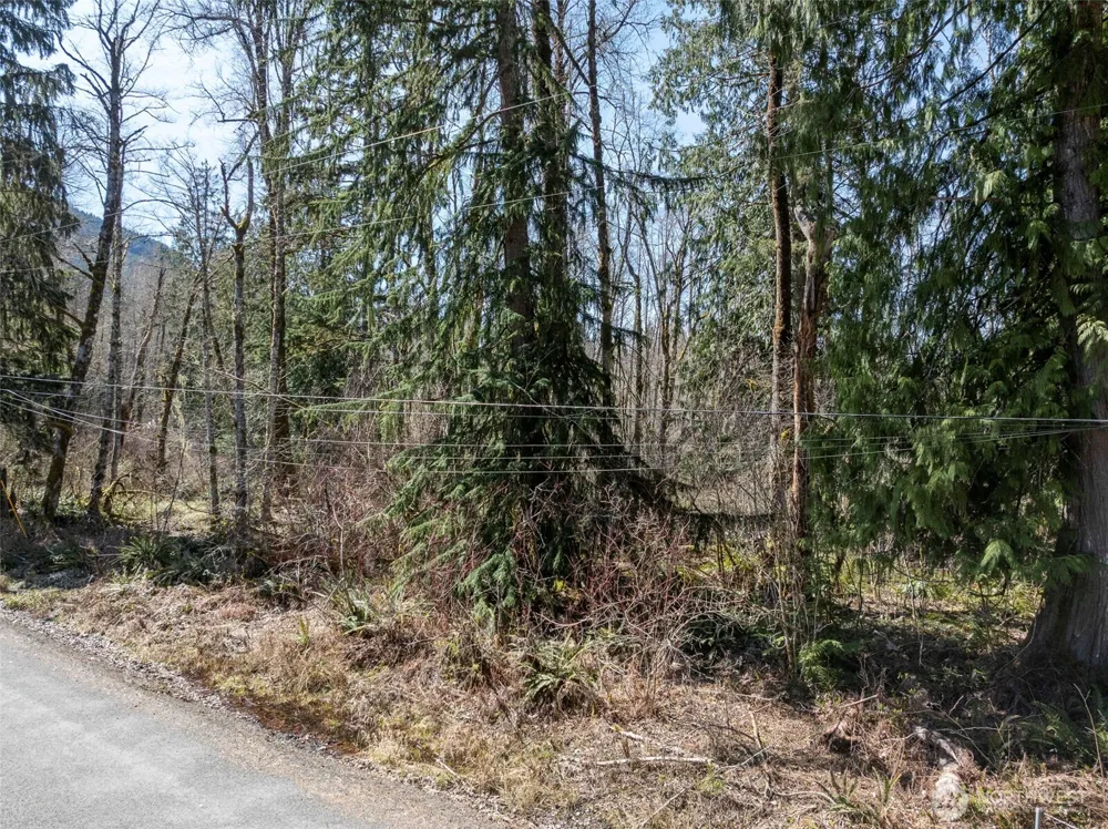 0 XX Fairway Drive Ashford, WA 98304