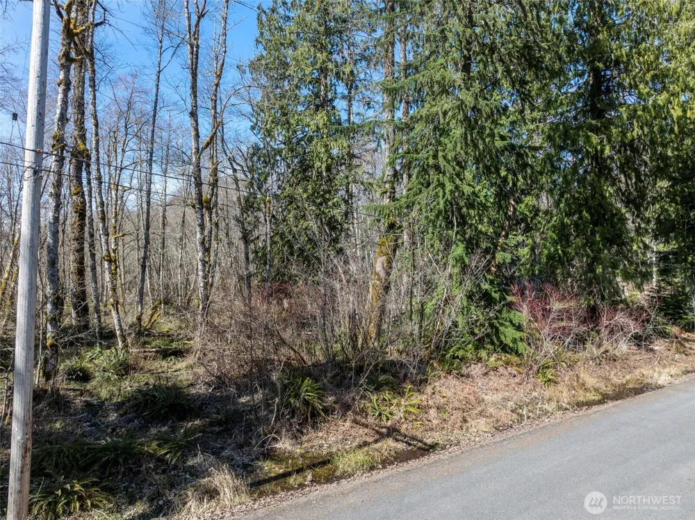 0 XX Fairway Drive Ashford, WA 98304