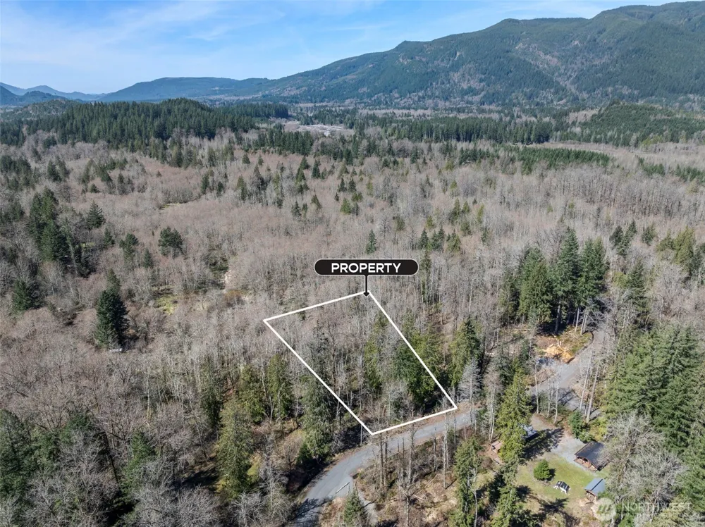 0 XX Fairway Drive Ashford, WA 98304