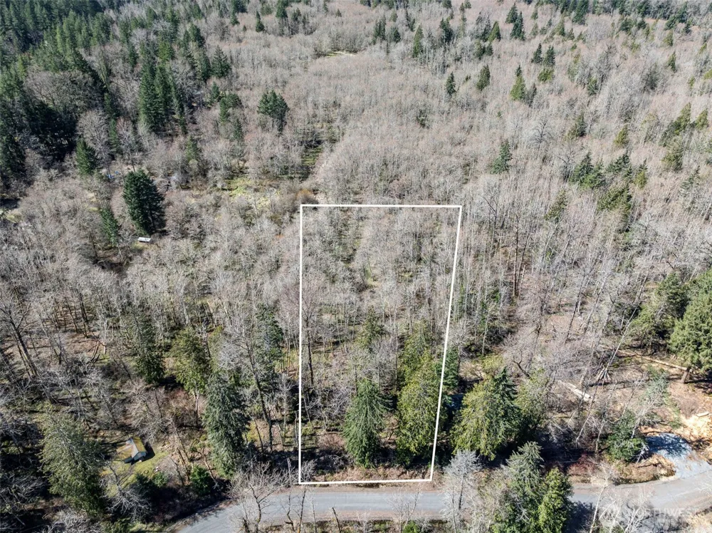 0 XX Fairway Drive Ashford, WA 98304