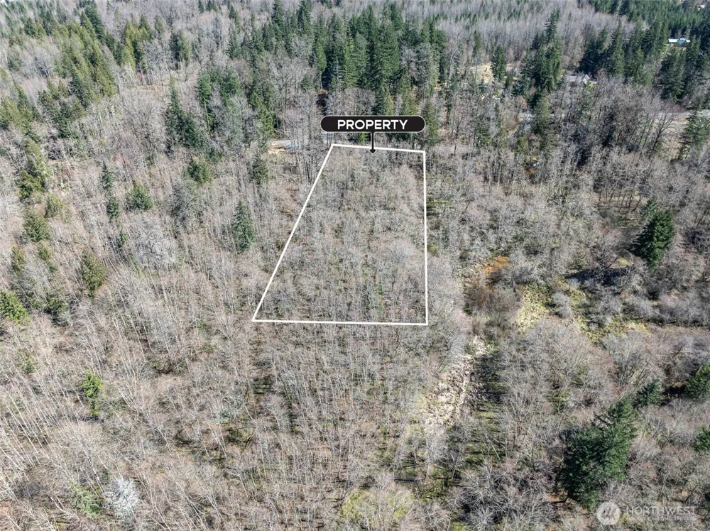 0 XX Fairway Drive Ashford, WA 98304