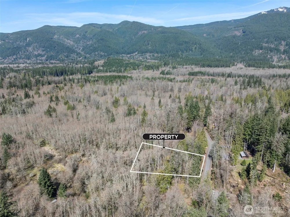 0 XX Fairway Drive Ashford, WA 98304