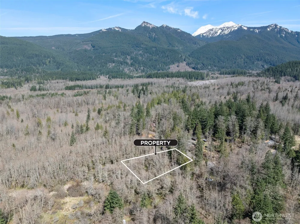 0 XX Fairway Drive Ashford, WA 98304