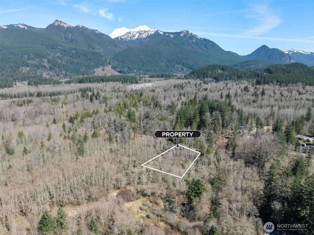 0 XX Fairway Drive Ashford, WA 98304