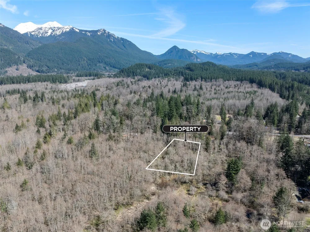 0 XX Fairway Drive Ashford, WA 98304