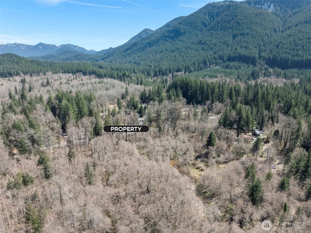 0 XX Fairway Drive Ashford, WA 98304