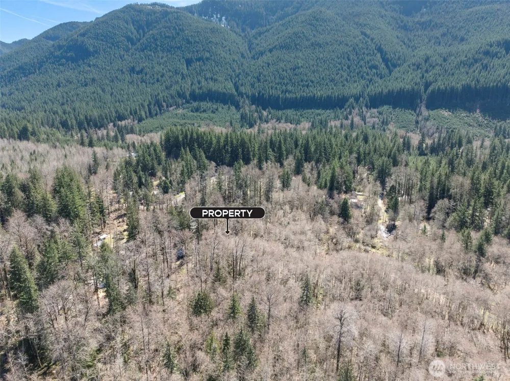 0 XX Fairway Drive Ashford, WA 98304