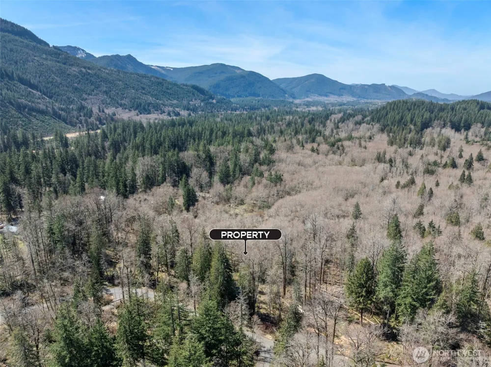 0 XX Fairway Drive Ashford, WA 98304