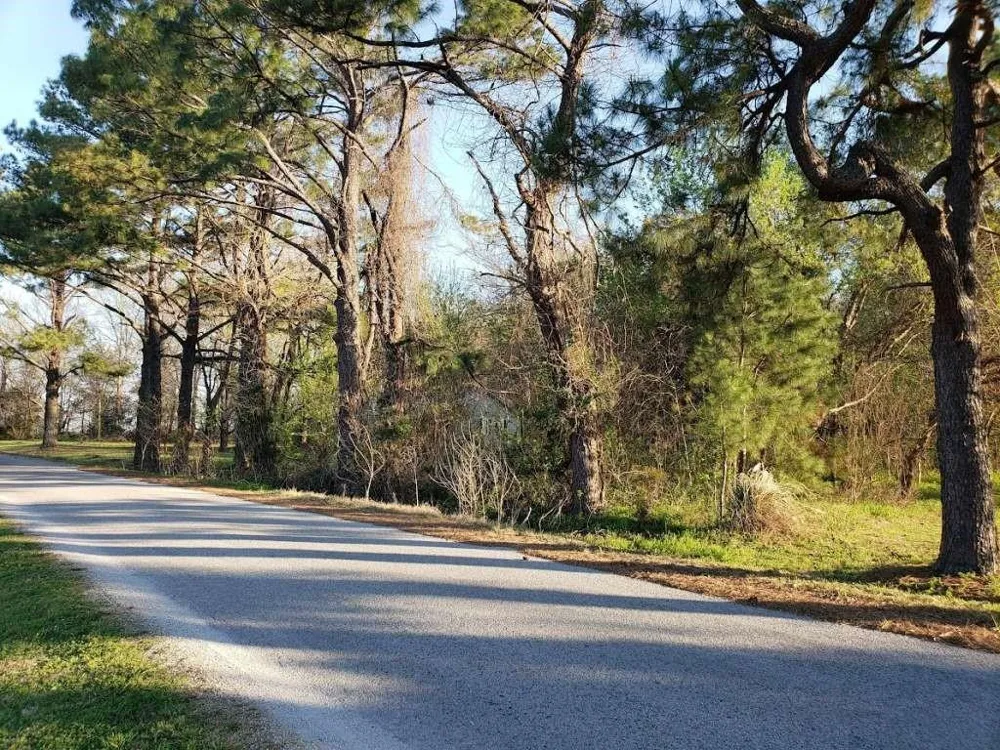 Longmire Road Other, TN 38343