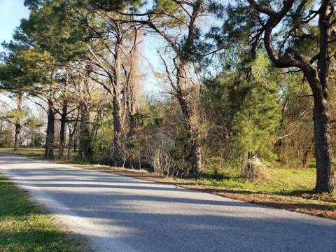 Longmire Road