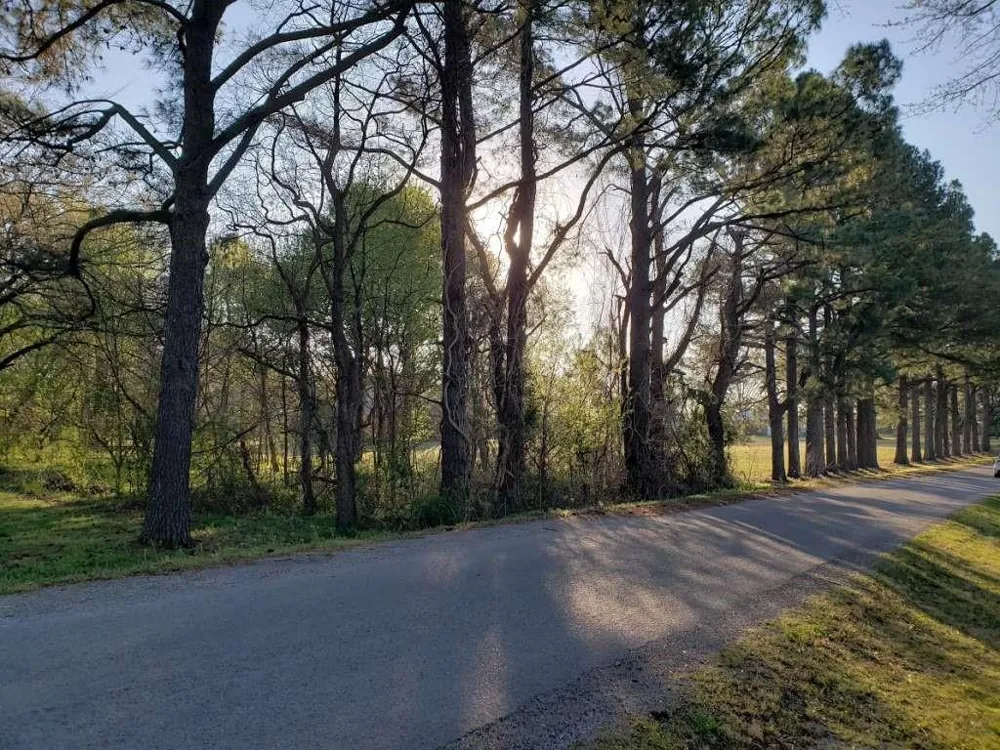 Longmire Road Other, TN 38343