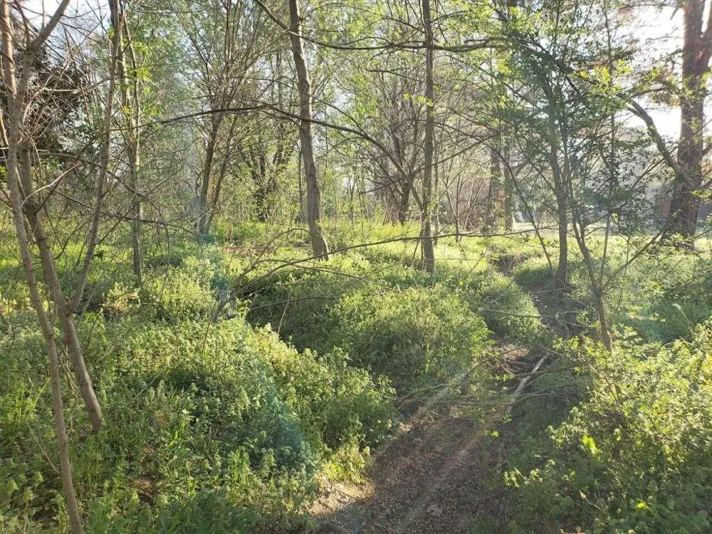 Longmire Road Other, TN 38343