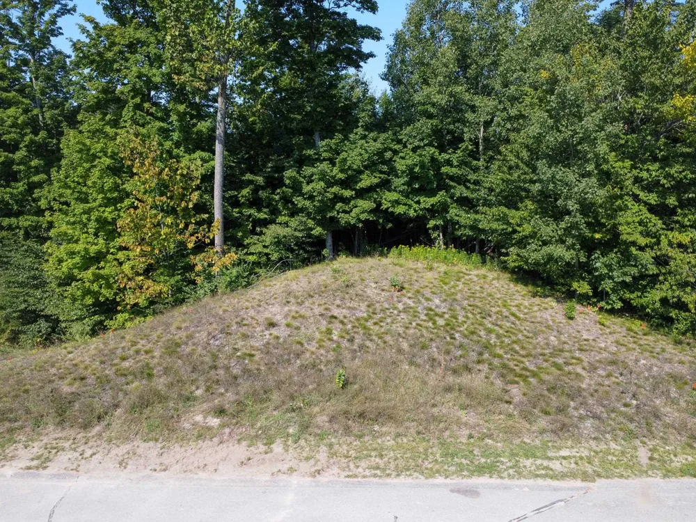 1955 Blue Water Court Suttons Bay Township, MI 49682