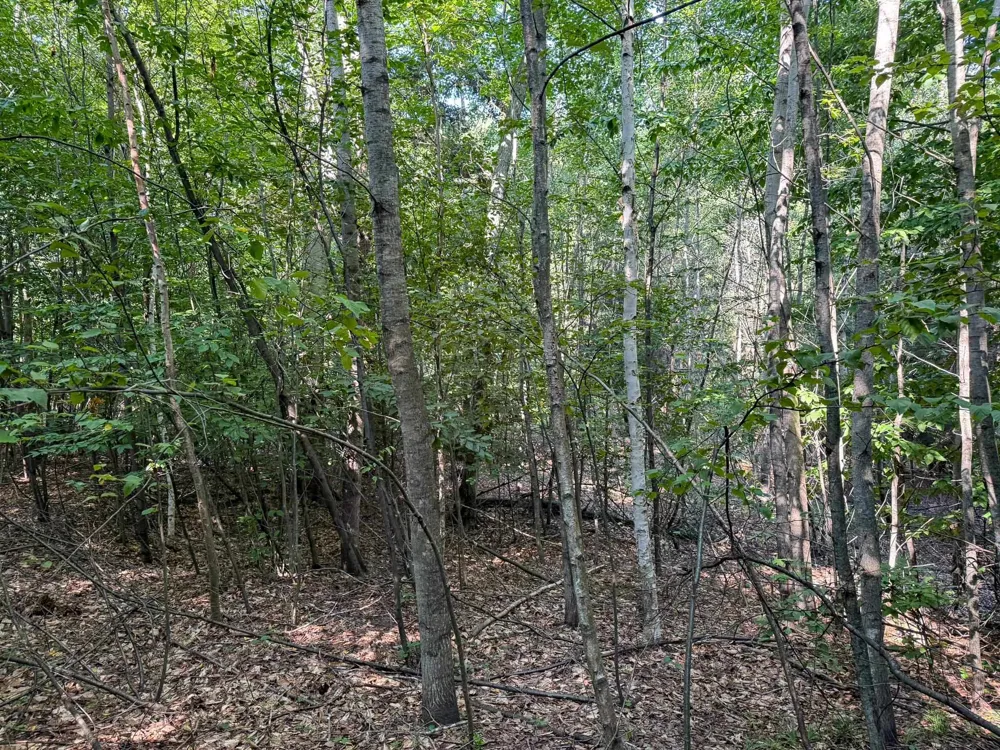 1955 Blue Water Court Suttons Bay Township, MI 49682