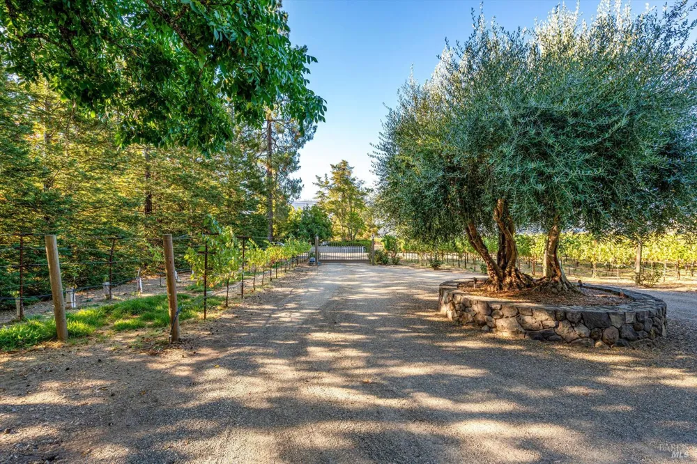 20 Rosedale Road Calistoga, CA 94515