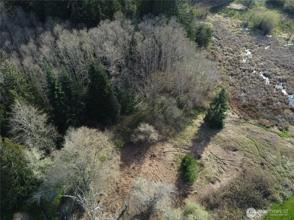0 xxx Embody Road Port Ludlow, WA 98365