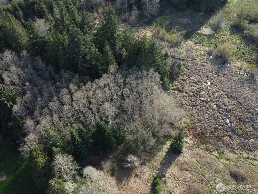 0 xxx Embody Road Port Ludlow, WA 98365