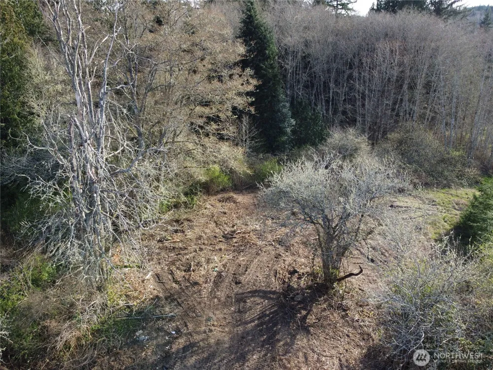 0 xxx Embody Road Port Ludlow, WA 98365