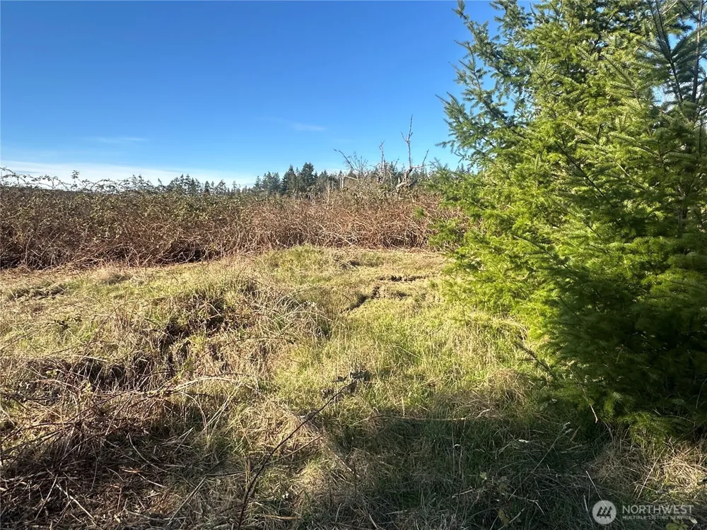 0 xxx Embody Road Port Ludlow, WA 98365