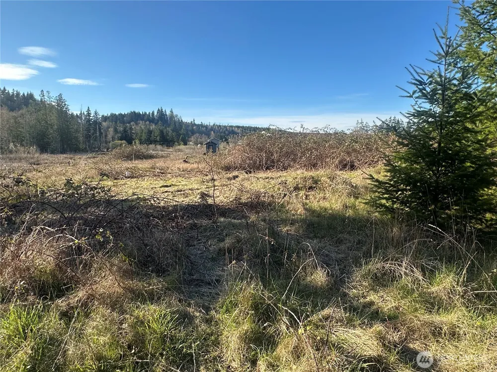 0 xxx Embody Road Port Ludlow, WA 98365