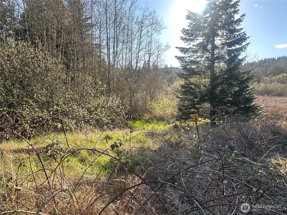 0 xxx Embody Road Port Ludlow, WA 98365