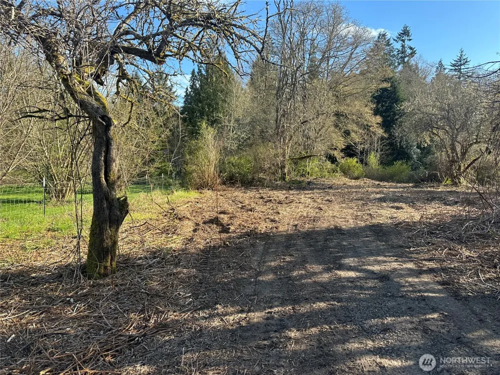0 xxx Embody Road Port Ludlow, WA 98365
