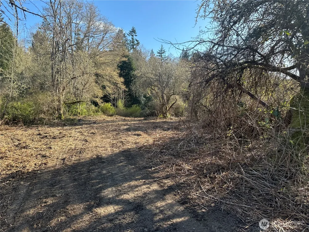0 xxx Embody Road Port Ludlow, WA 98365
