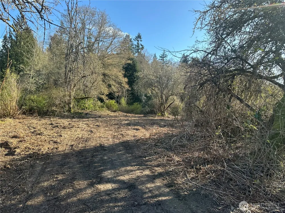 0 xxx Embody Road Port Ludlow, WA 98365